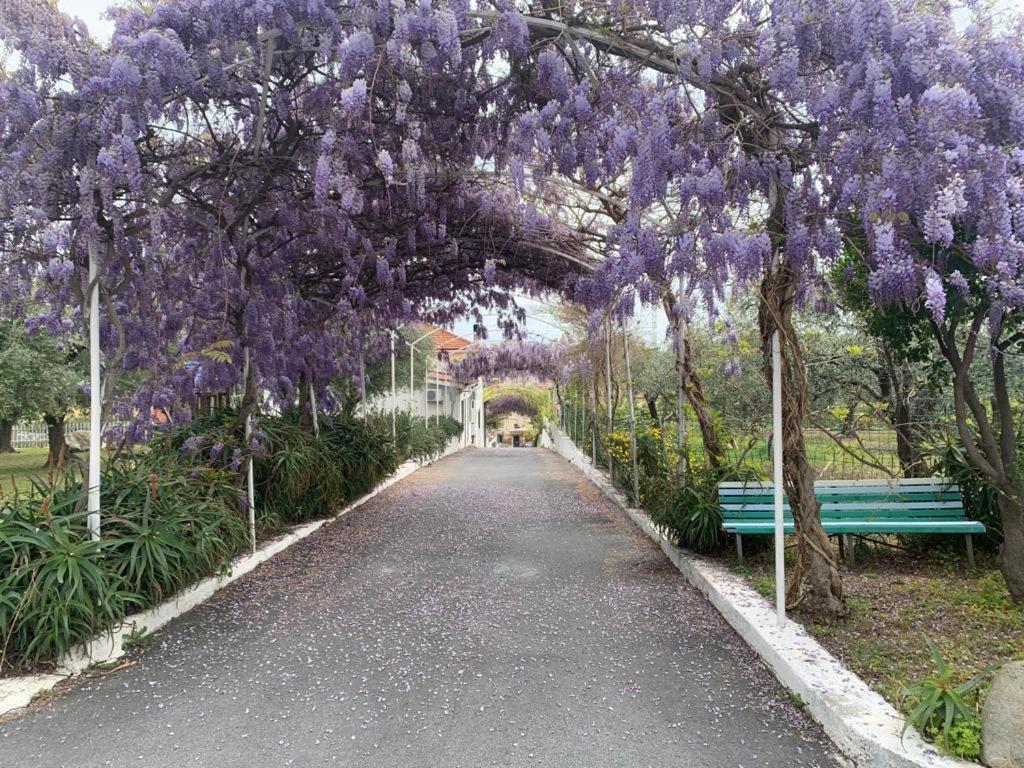 Al Borgo Village Pietra Ligure Exterior photo